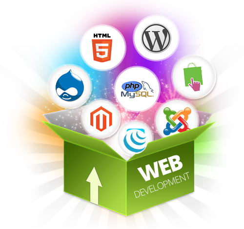 Web development